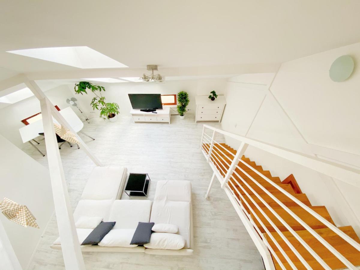 Loft With Rooftop And Free Parking In Garage Apartament Budapesta