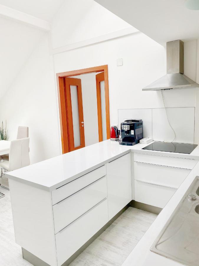 Loft With Rooftop And Free Parking In Garage Apartament Budapesta