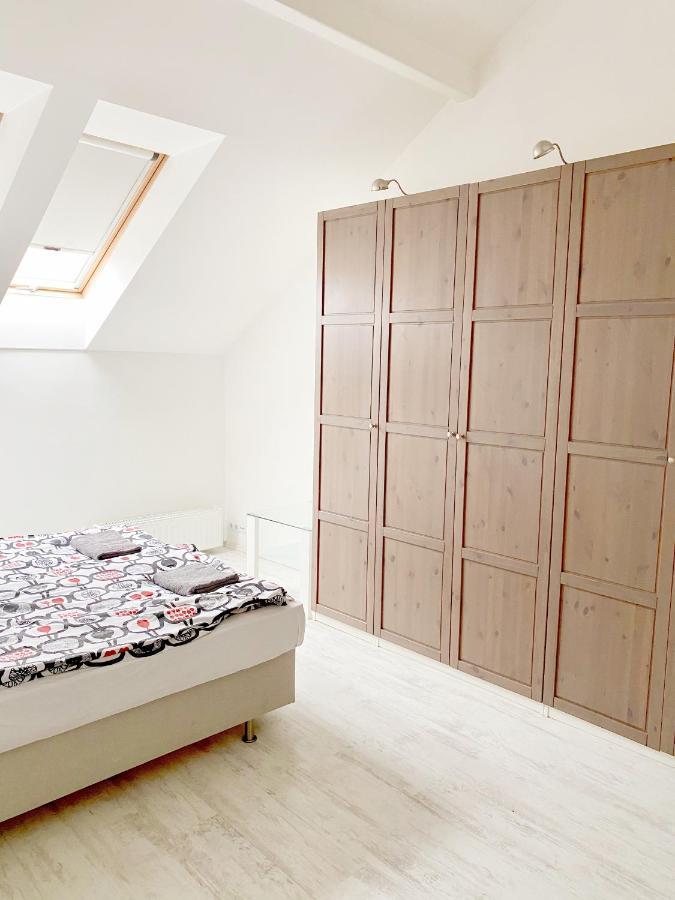 Apartament Loft With Rooftop And Free Parking In Garage Budapesta
