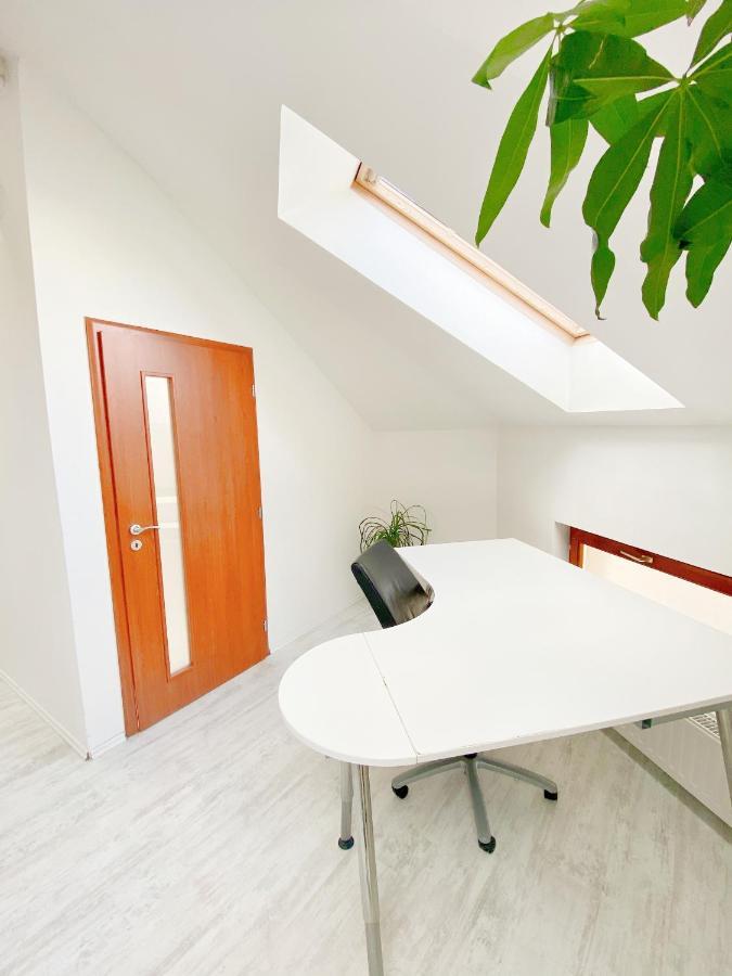 Loft With Rooftop And Free Parking In Garage Apartament *